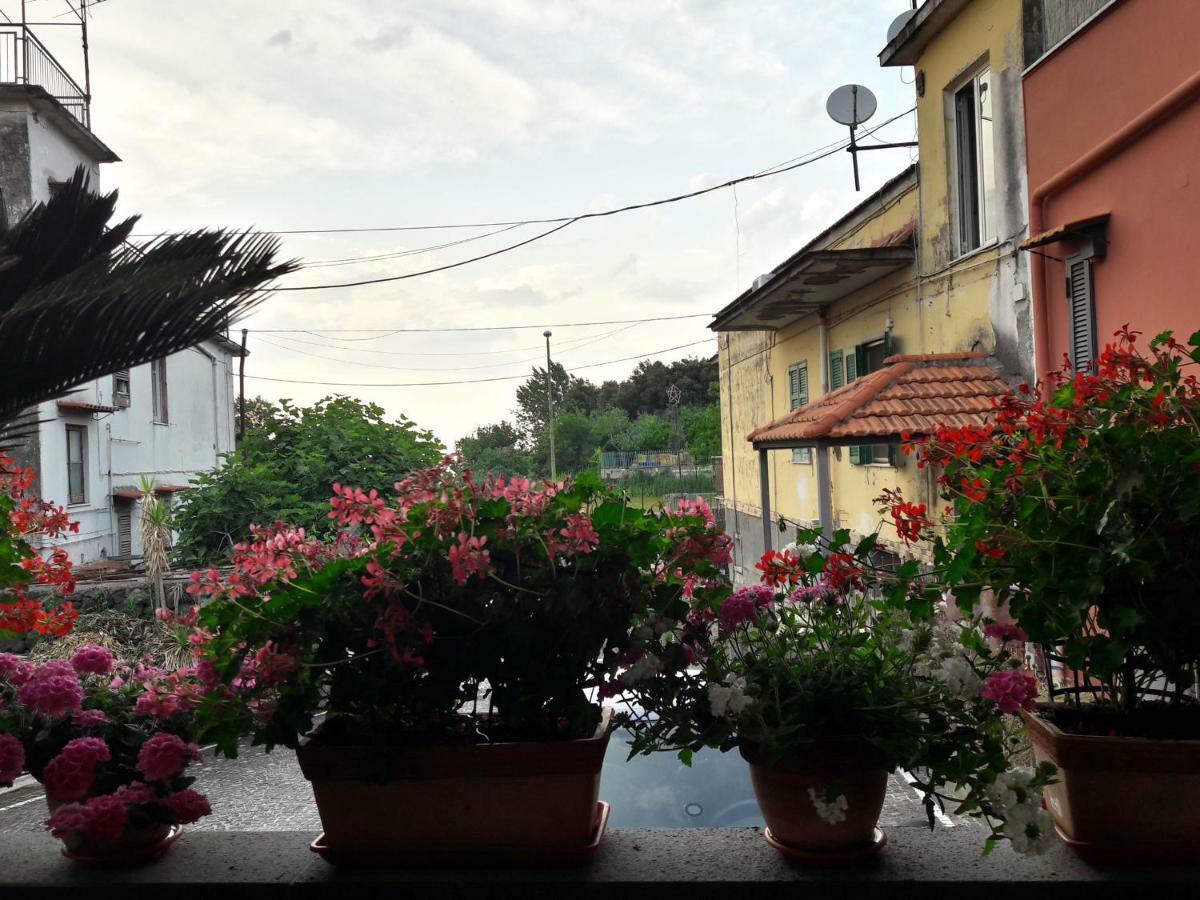 La Caldera Del Vesuvio Bed & Breakfast Ercolano Exterior photo
